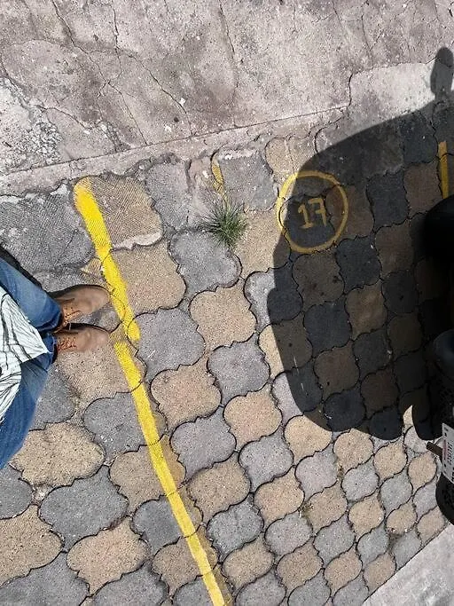 Апартаменты Departamento Guadalajara Chapalita 0*,